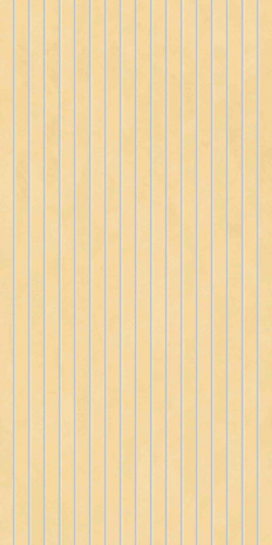 Decori Mango (30x60 cm)