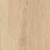 Anise